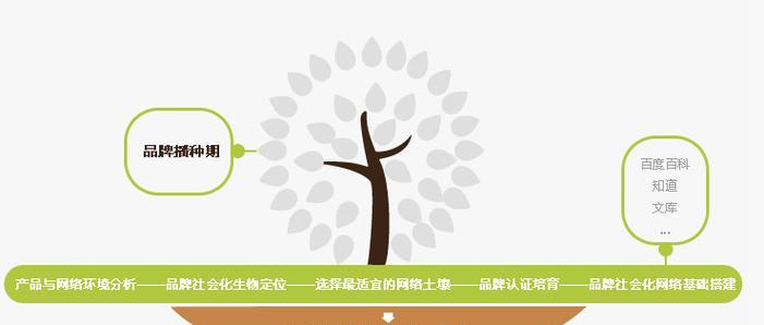 珍岛网站优化服务商提供哪些服务？
