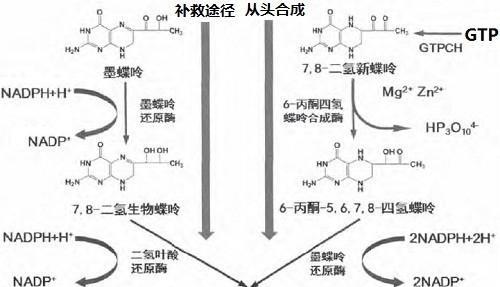 GTP仅仅是搜索引擎吗？它的工作原理是什么？