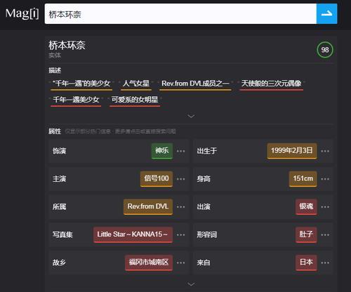 如何找到并使用极搜中文搜索引擎？