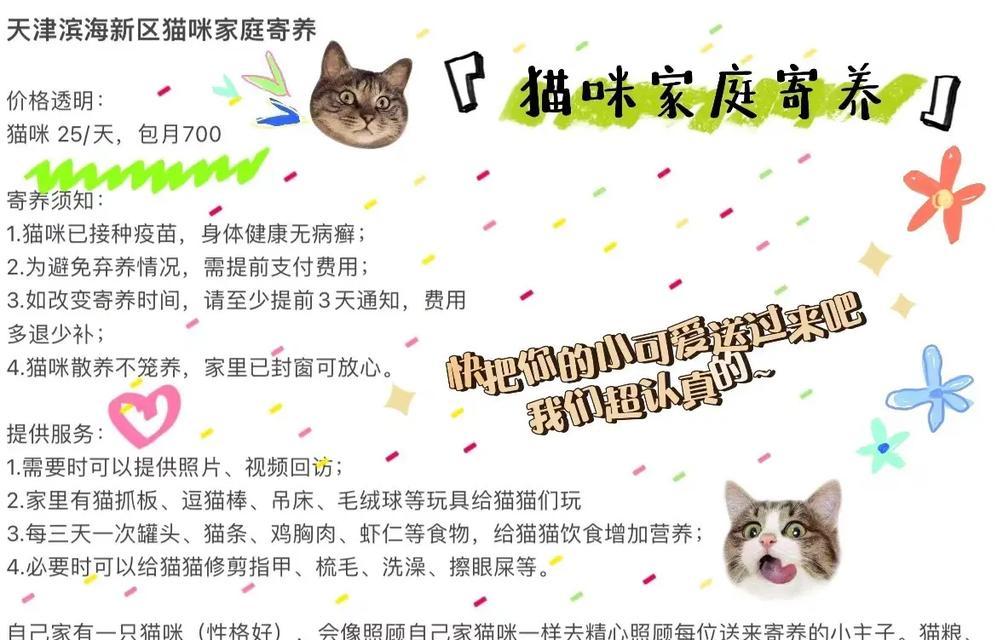 如何在小红书找到猫咪相关内容？