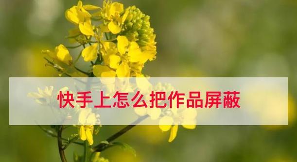 快手作品如何设置关键词？哪些关键词能提高作品曝光？