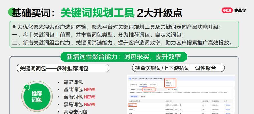 小红书搜索技巧全解析：如何高效搜索四个关键词？
