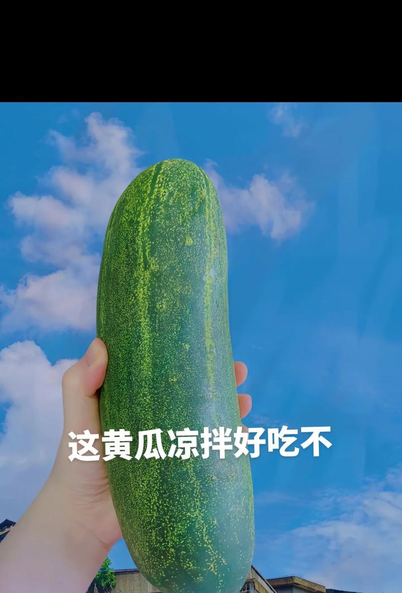 抖音搜黄瓜关键词视频方法？如何找到特定关键词的视频内容？
