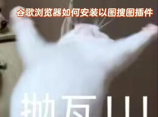 谷歌有什么扩展优化网速？如何提高浏览速度？