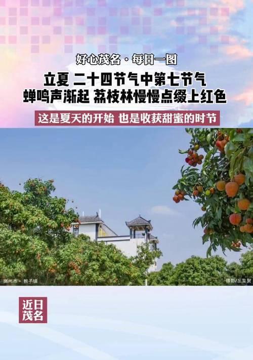 茂名短视频优化合作流程是什么？合作中常见问题有哪些？
