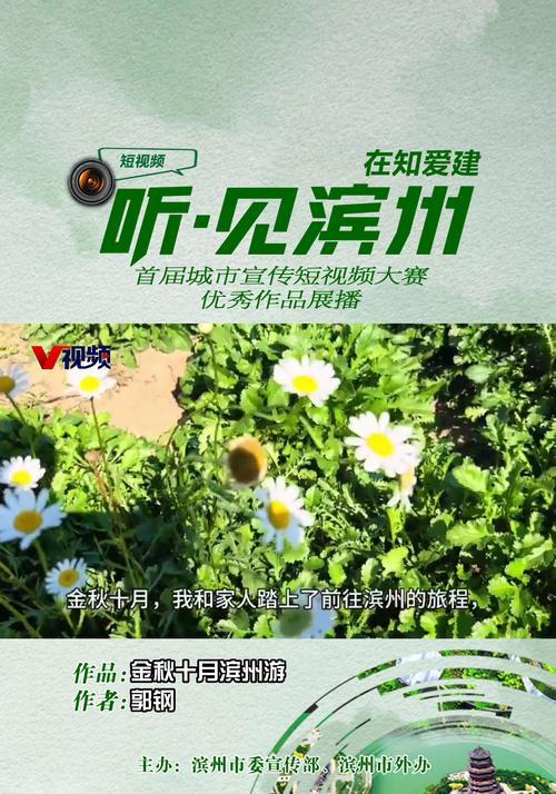 滨州短视频优化怎么做？有哪些有效策略？