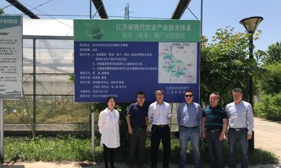宿迁市新增网站推广如何进行？常见问题有哪些？