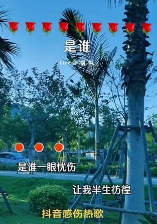 伤感视频在抖音上如何剪辑？可以进行哪些编辑操作？