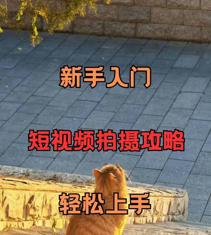 抖音搞笑瞬间剪辑技巧？如何快速编辑出爆笑视频？