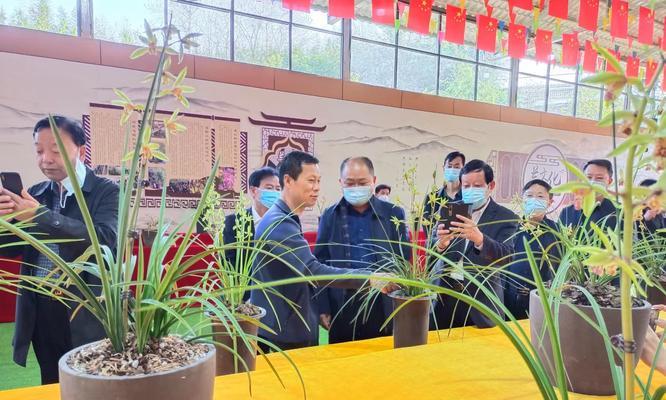 桐柏县网站如何推广？有哪些有效的推广策略？