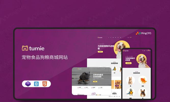 宠物网站规划分析怎么写？需要考虑哪些关键因素？