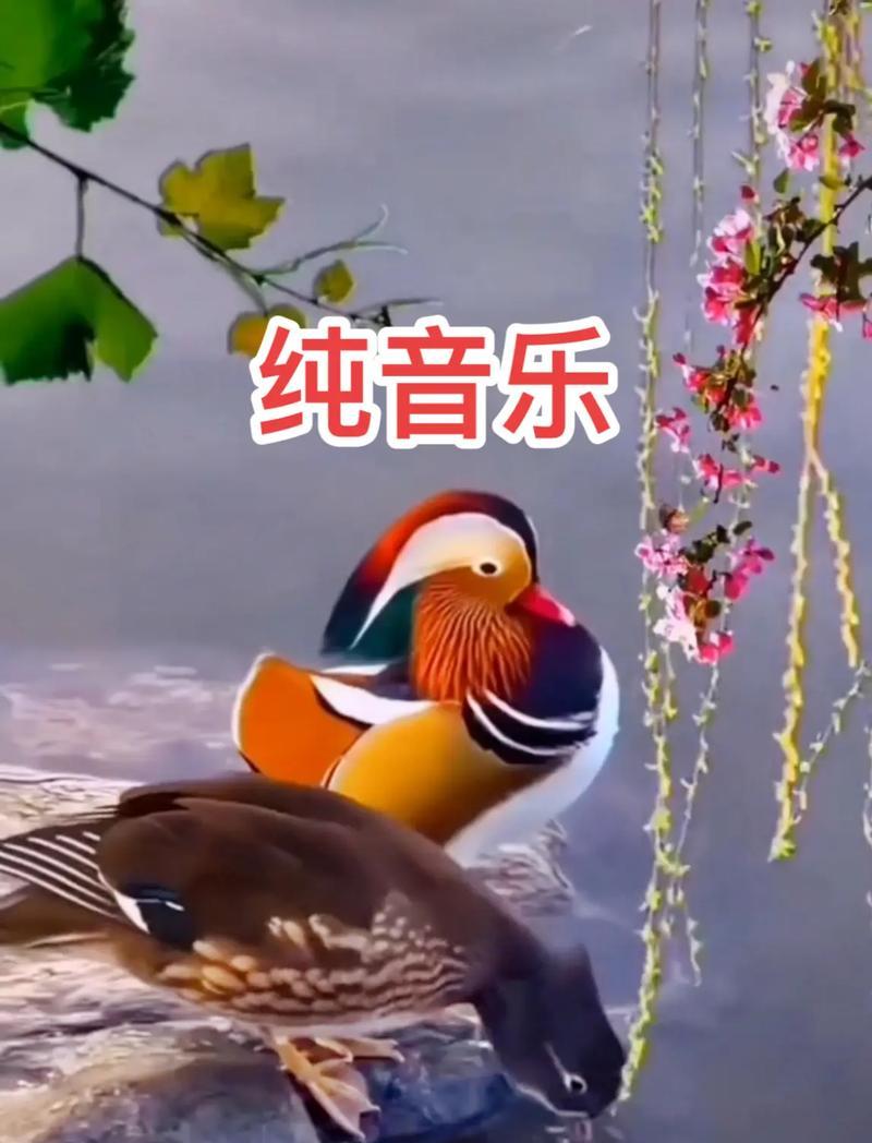 抖音美景音乐怎么剪辑的？视频编辑技巧有哪些？