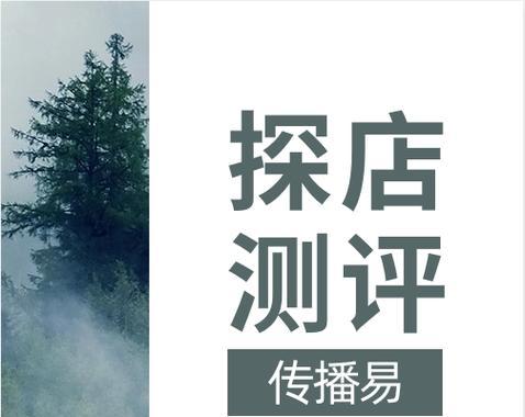 丹东如何进行网站推广？有哪些有效的推广策略？