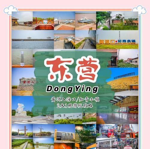 山东东营如何网站推广效果最佳？有哪些有效方法？