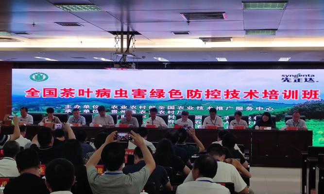 邛崃网站如何推广产品？有哪些有效的网络营销策略？