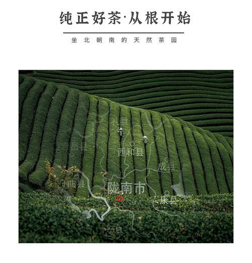 茶叶营销方案网站怎么设计？如何有效吸引客户？