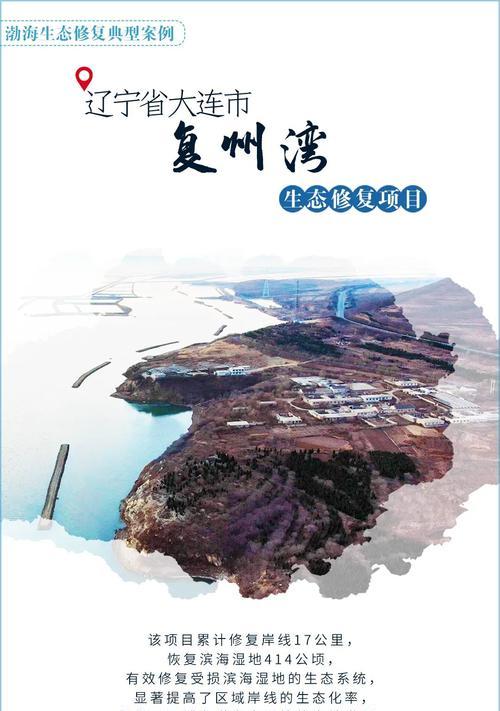 东海如何进行网站推广？有哪些有效的方法和策略？