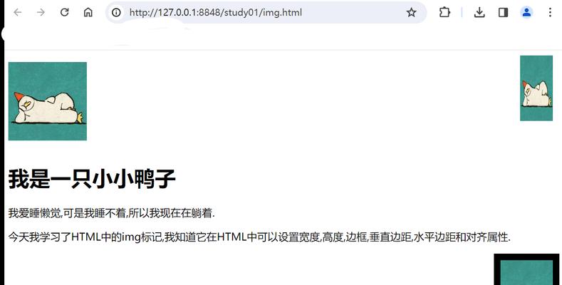 HTML文档头部有哪些标记？它们各自的作用是什么？