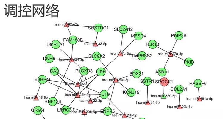 HTML文件扩展名有哪些？如何识别不同类型的HTML文件？