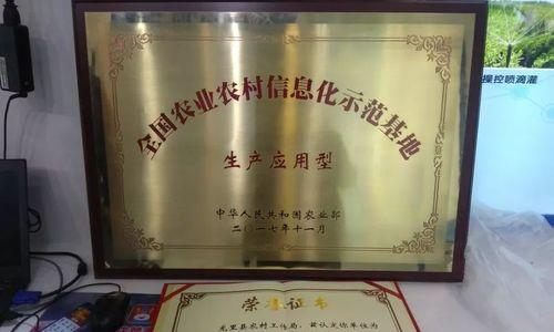 黔南州网站推广效果如何？提升策略有哪些？
