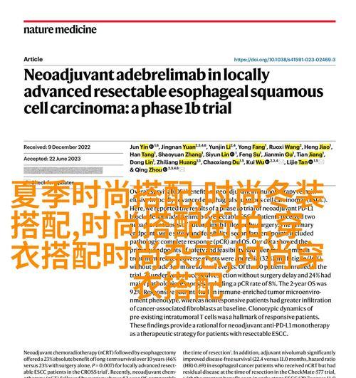 如何有效进行SEO网站优化？SEO优化方式有哪些常见问题？