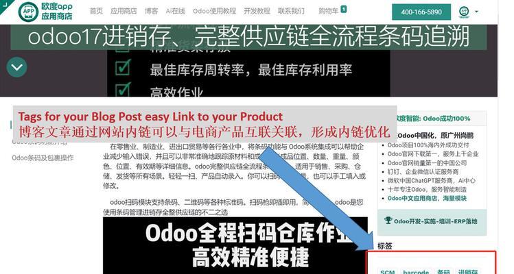 如何快速提升网站权重？（掌握权重概念，轻松提高网站排名）