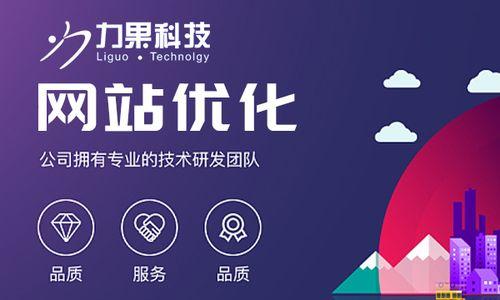 自建团队还是外包？——搜索引擎优化的选择之道（解析自建团队和外包的优缺点，帮助您选择更合适的方式）