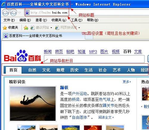 SEO网站优化的关键（探究SEO对于网站收录的重要性）