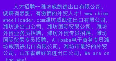 SEO专员工作内容详解（了解SEO专员的职责和任务，提升网站排名效果）